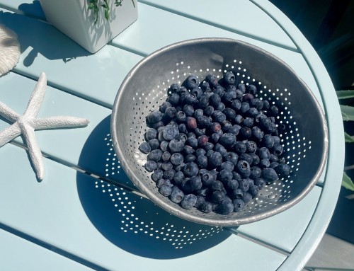 My Mother’s Colander